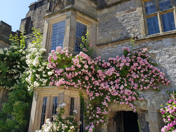 Haddon Hall