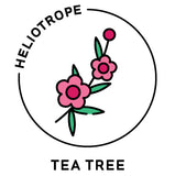 best organic essential oil aromatherapy tea tree