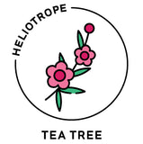 tea tree