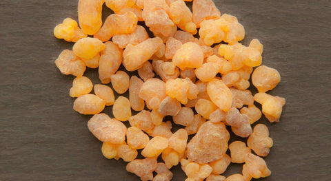 Boswellia Sacra from Oman Frankincense