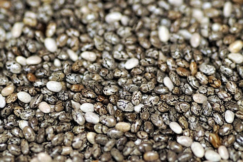 Close-up of Multi-Colored Chia Seeds