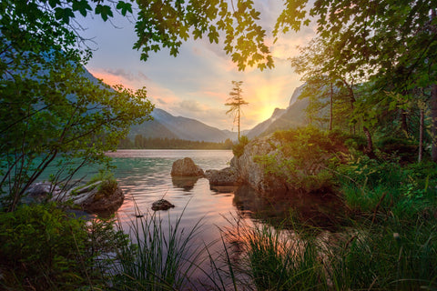 Lake viewed through trees 