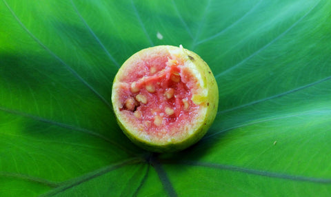 Guava cut open showing it's pink flesh on a green leaf