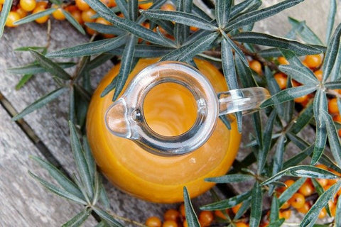 Bright orange Sea Buckthorn juice sits in a glass container surrounded by branches with berries