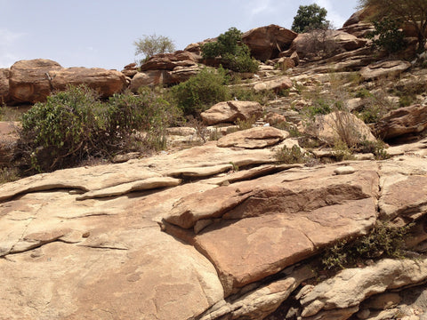 Landscape image taken in Somaliland Africa. Large rocks in foreground with plants and vegetation extending as the land slopes upward
