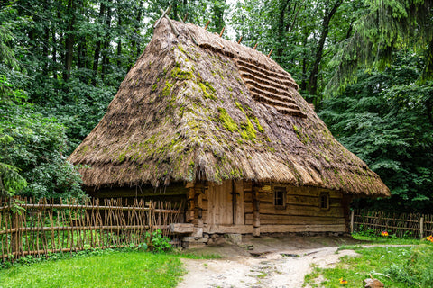 Ukrainian cottage at the edge of the woods