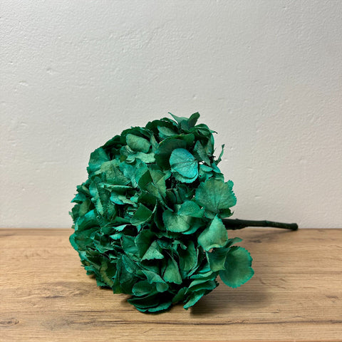 tête d'hortensia