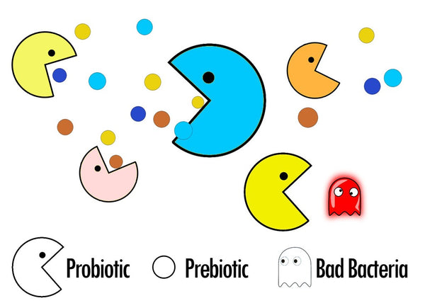 Prebiotics Graphic