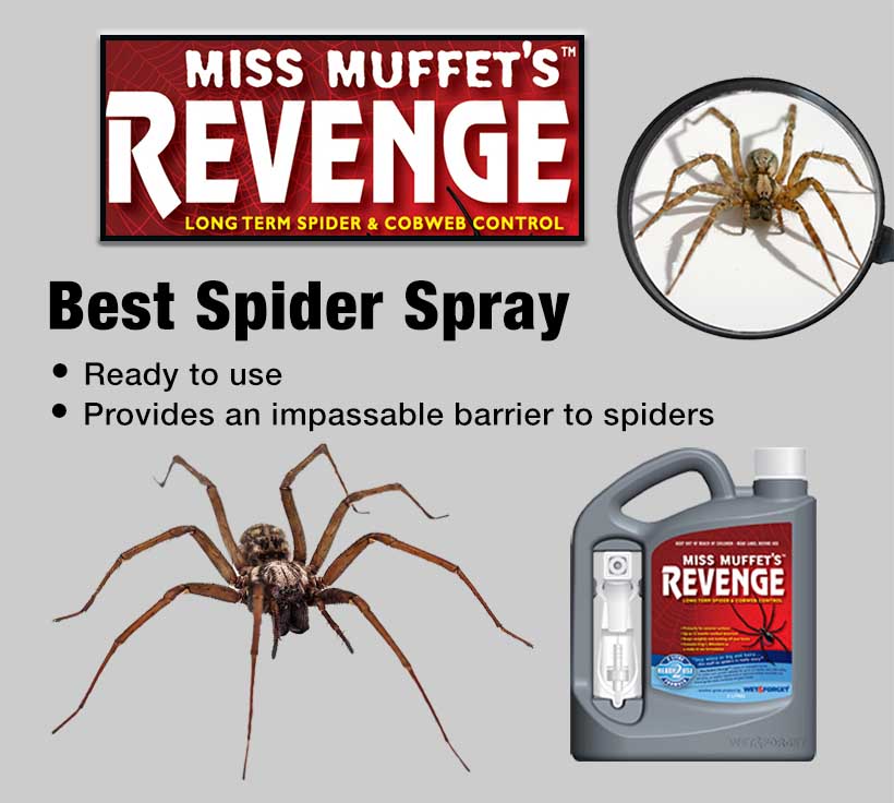 Miss Muffet's Revenge is your best spider control product