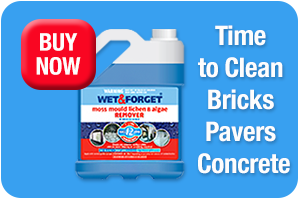 Wet & Forget Cleans up Bricks, Pavers & Concrete