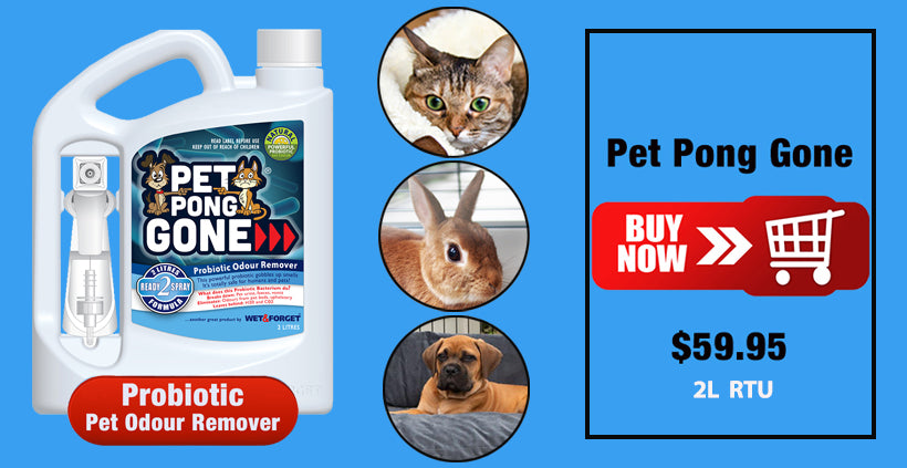 Pet Pong Gone - Probiotic Pet Odour Remover