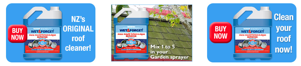 Buy Wet and Forget to Clean Your Roof - Just Need a Garden Sprayer