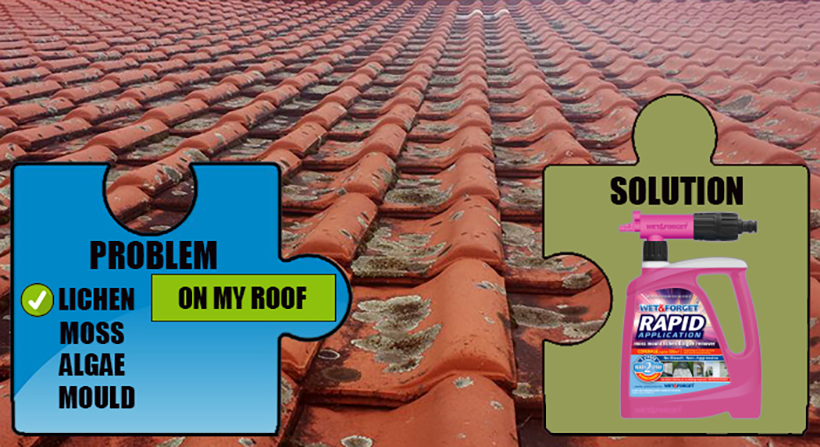 Remove lichen from your roof with Wet & Forget's Rapid Application