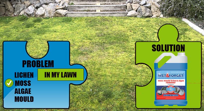 Remove moss from your lawn with Wet & Forget