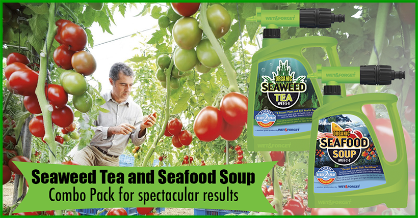 https://www.wetandforget.co.nz/products/seaweed-tea-and-seafood-soup-organic