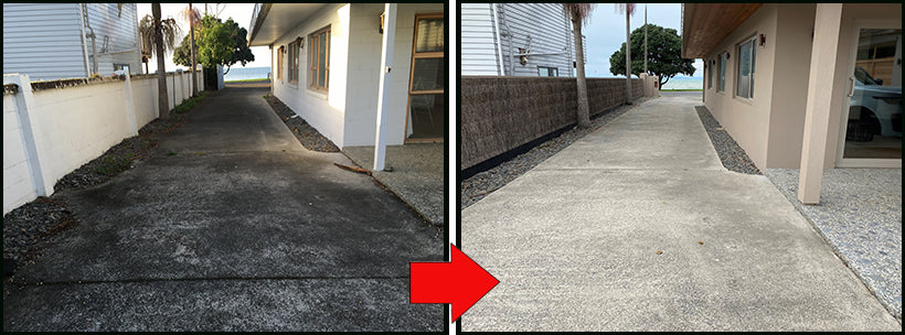 See How Rapid Application Cleaned the Black Fungi From this Driveway