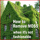Get rid of unsightly moss with Rapid Application or Wet & Forget Original