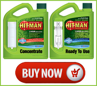 Buy Hitman Organic Weedkiller NOW