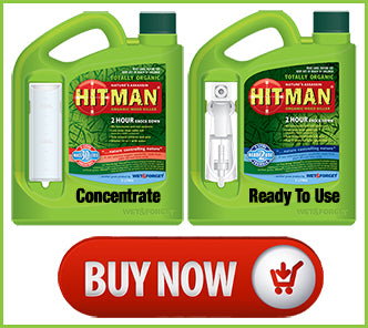 Hitman Weed Killer - Buy Now