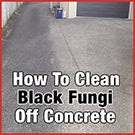 How to Clean Black Fungi off Concrete with Rapid Application or Wet & Forget Original