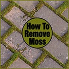 How to remove moss from any outside surface with Rapid Application or Wet & Forget Original