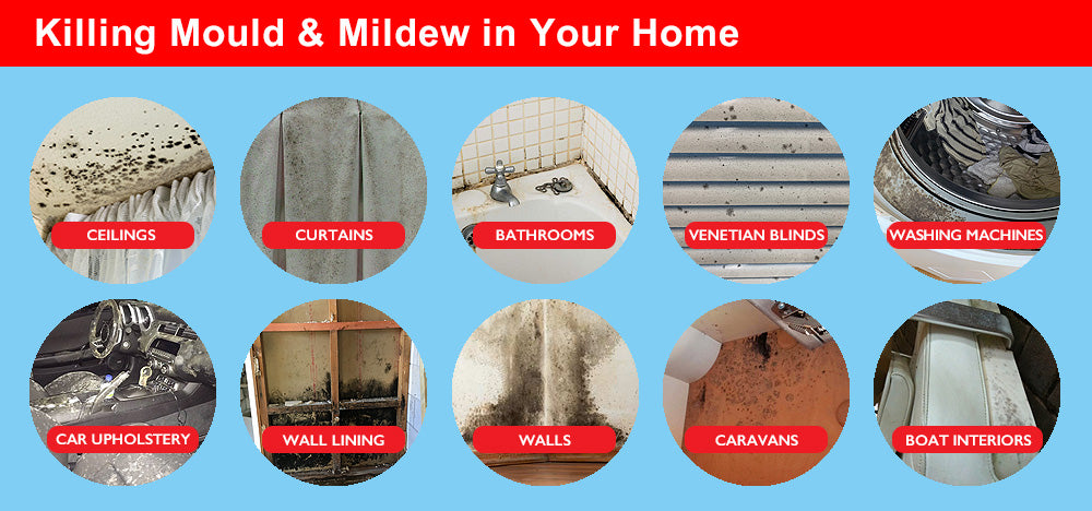 Wet & Forget's Indoor Kills Indoor Mould and Mildew 