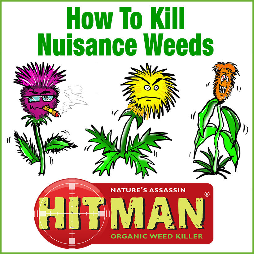 How to get rid of weeds with Hitman organic weedkiller