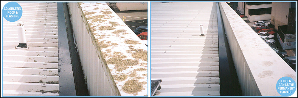 Lichen Eats into Your Roof - Get Rid Of it with Rapid Application