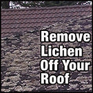 How To Clean Lichen off Your Roof with Rapid Application or Wet & Forget Original