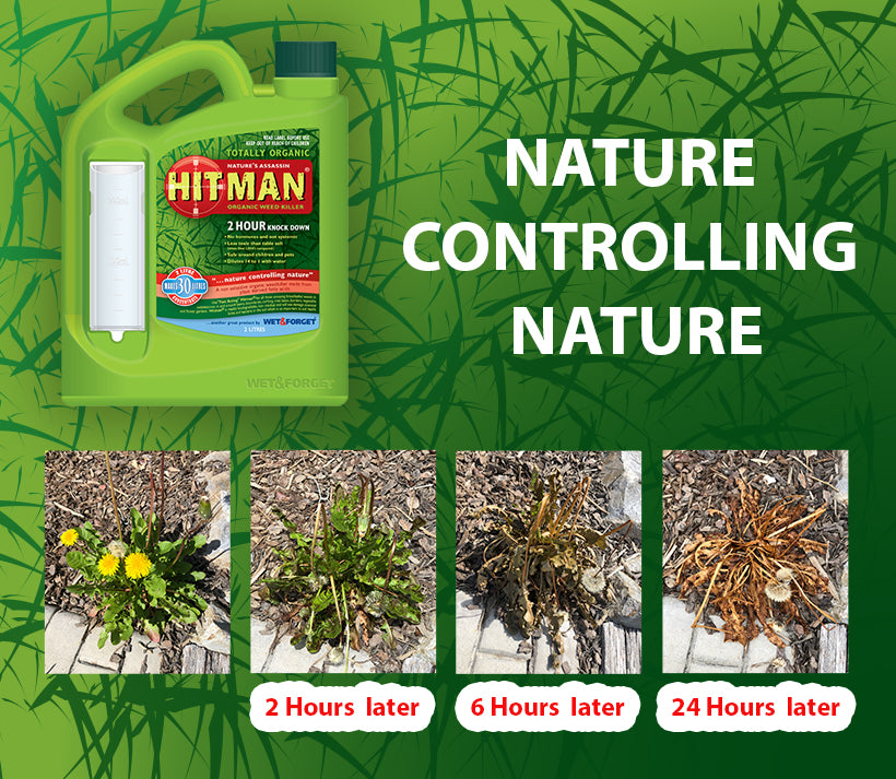 Hitman Organic Weedkiller is perfect for broadleafed weeds