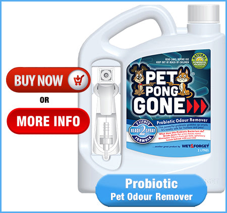 Buy Pet Pong Gone Odour Remover