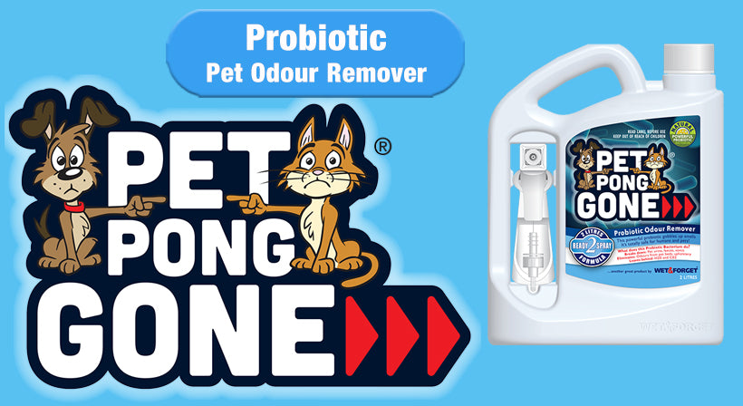 Pet Pong Gone Gets Rid of those Nasty Smells the Natural Way