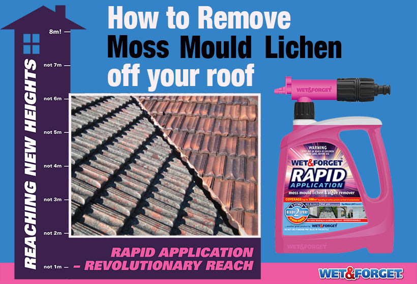 Removing Moss Mould Lichen from your Roof is Easy with Rapid Application