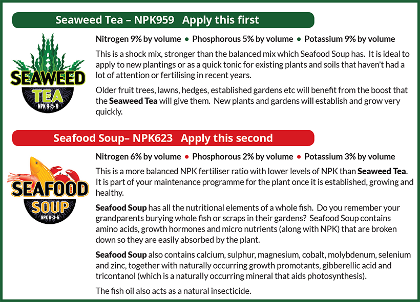 When and How to Apply Seaweed Tea and Seafood Soup