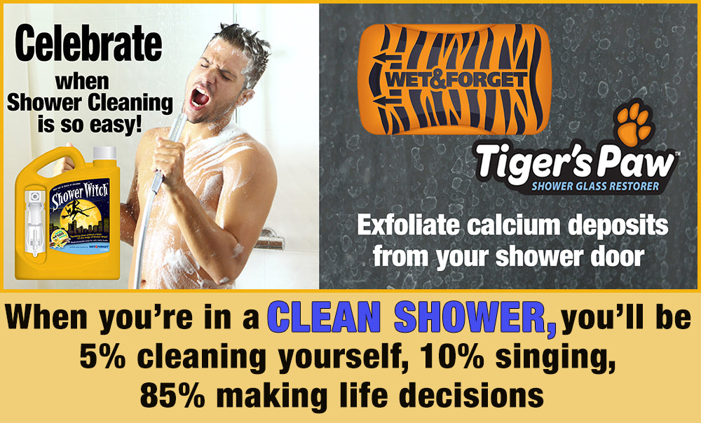 Shower Cleaning has never been so easy