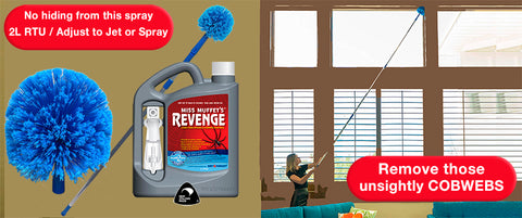 Remove those unsightly cobwebs