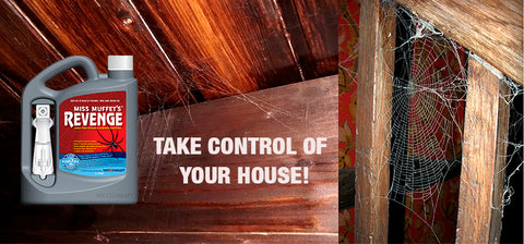 Take control of your house and get rid of the spiders