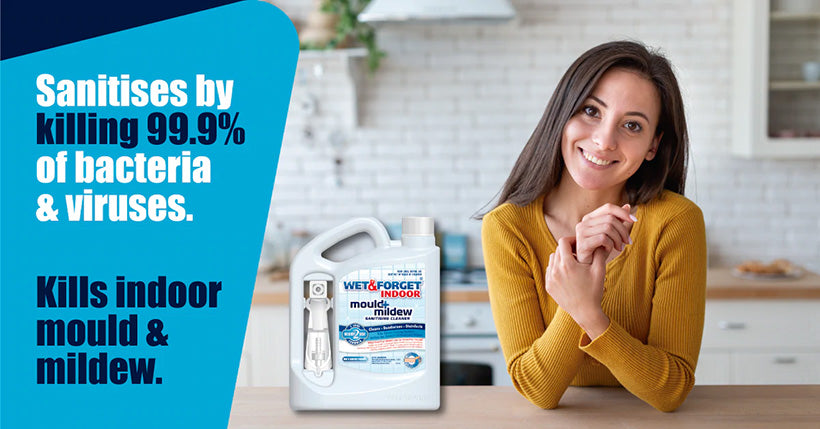 Wet and Forget Indoor Sanitises All Hard Surfaces and Kills Indoor Mould