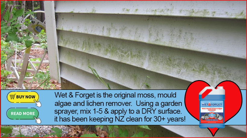 Wet and Forget is the original moss mould and algae cleaner