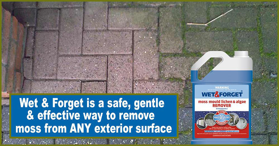 Wet & Forget is the Original Moss Remover - You Can't Go Wrong