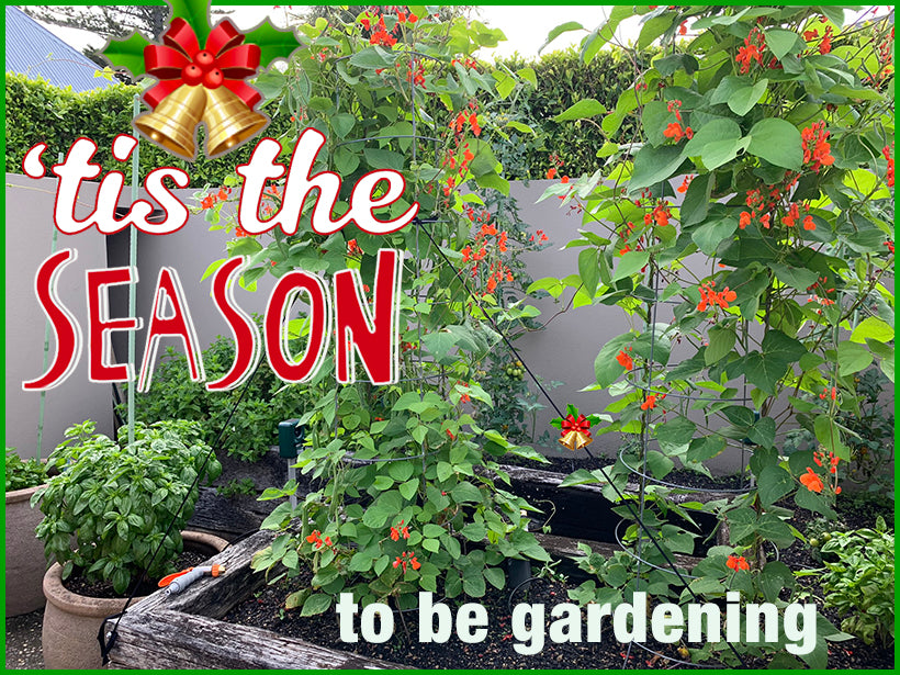 'Tis the season for gardening