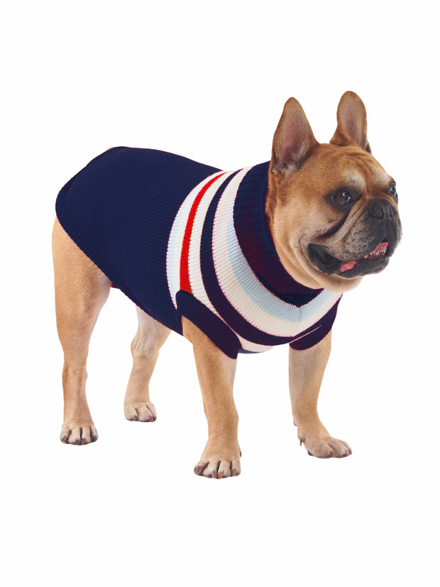 dog sweater online