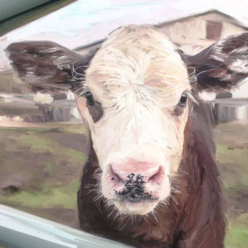  Calf
