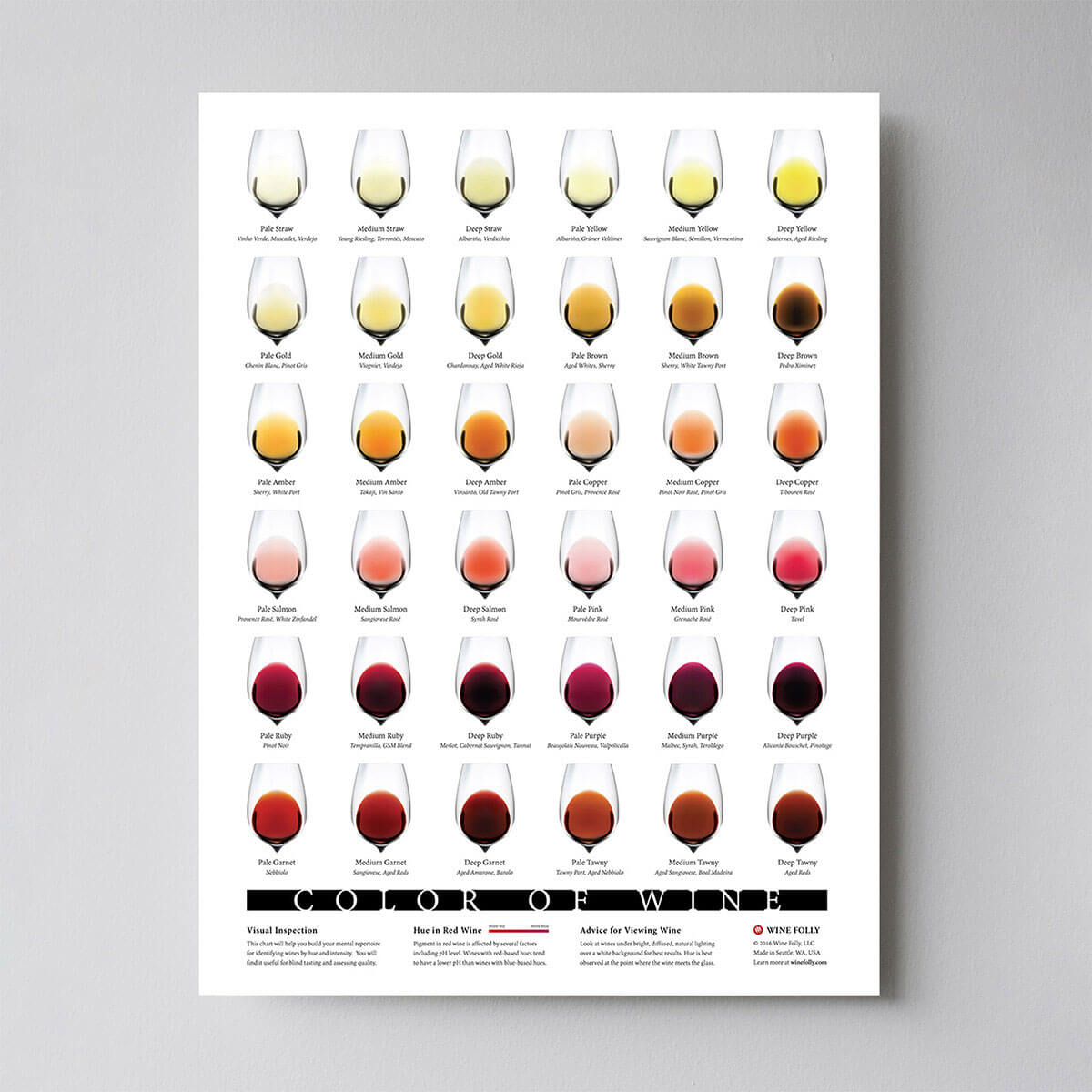 Color of Wine Poster – Wine Folly