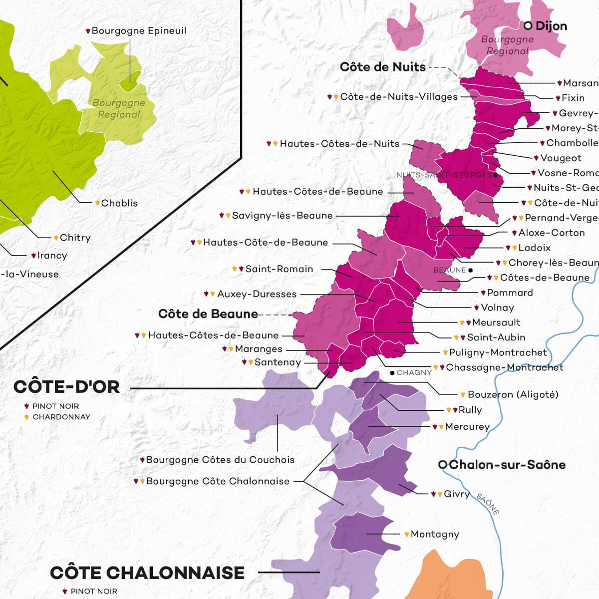 Burgundy Wine Map