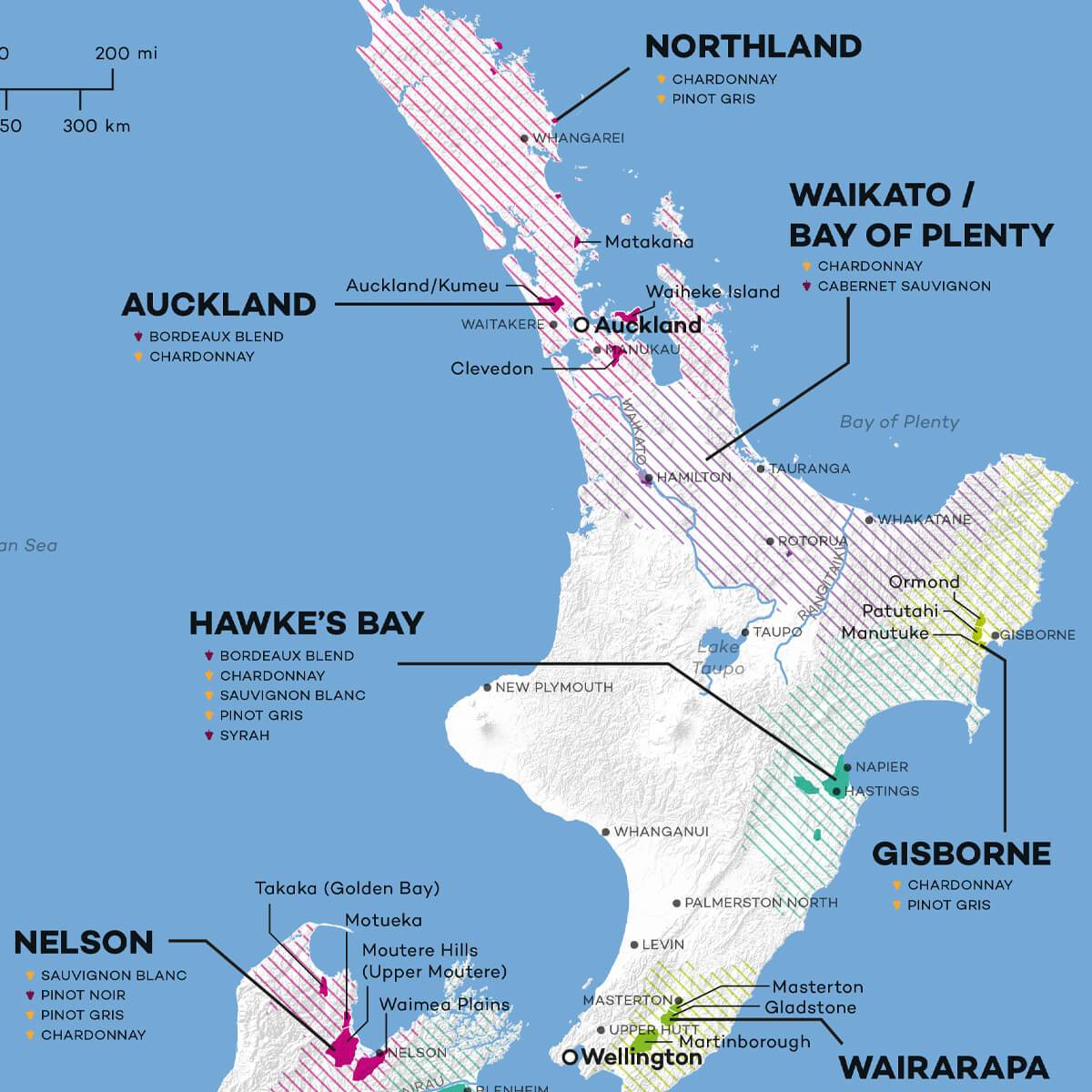 New Zealand Wine Map Digital Download PDF Wine Folly   MAP CLOSE UP NEW ZEALAND 1200x1200px 1200x 78b437e4 E3be 4dd0 A0b2 Ab686de08e33 2400x 