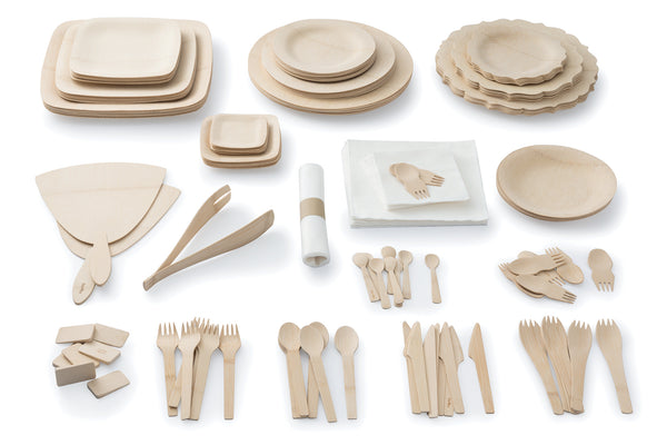 bambu bamboo disposable dinnerware