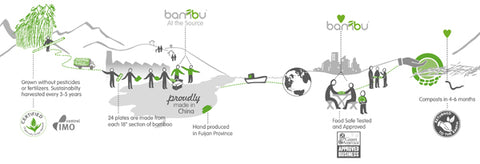 Inforgraphic of the making of a bamboo Spork