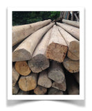 cedar salvage from dwellings