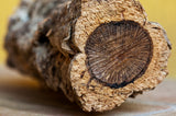 Bambu Home - Blog - Cutaway of cork and bark from tree (used in cork cutting boards)